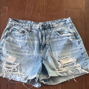 American Eagle Outfitters Light Blue Denim Shorts